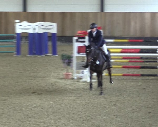 Reitturnier Zwickau 2023