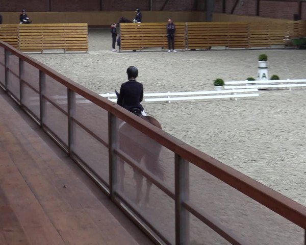 Reitturnier Hamburg-Friedrichshulde/Sylva Kuhrt 2023