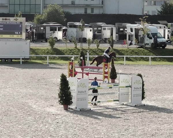 Pferdesporttage Bülach 2021