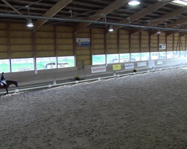 Reitturnier Urtenen-Schönbühl 2023