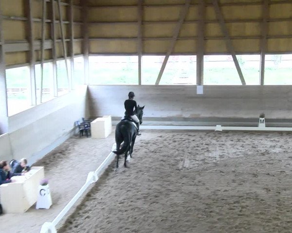 Reitturnier Urtenen-Schönbühl 2023
