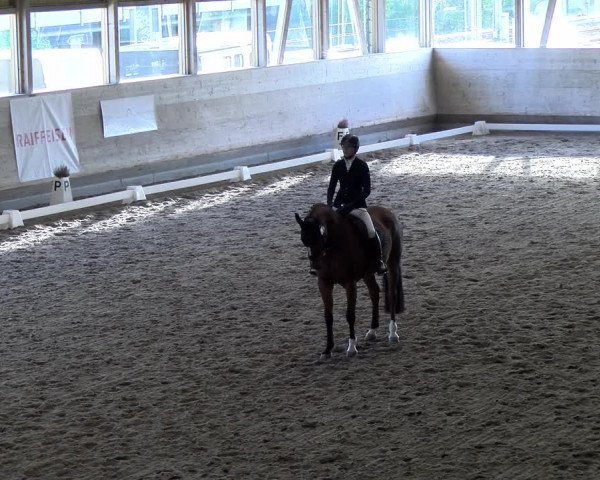 Reitturnier Urtenen-Schönbühl 2023