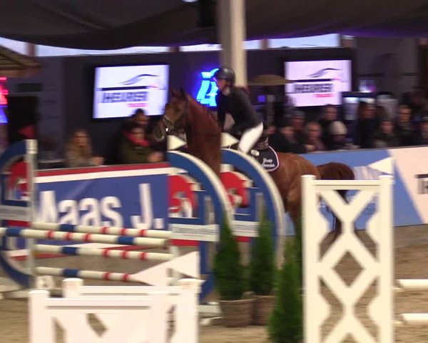 1. Nordic Jumping event Negernbötel 2023 - Season Opening