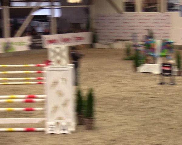 1. Nordic Jumping event Negernbötel 2023 - Season Opening