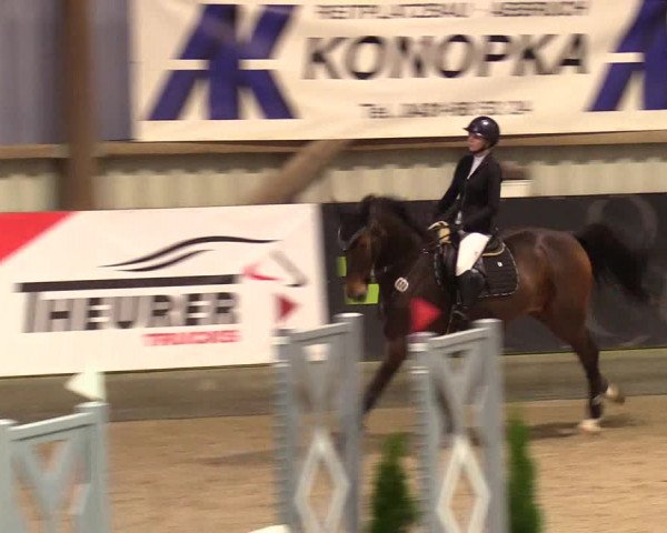1. Nordic Jumping event Negernbötel 2023 - Season Opening