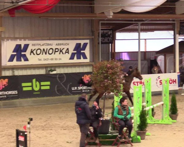 1. Nordic Jumping event Negernbötel 2023 - Season Opening