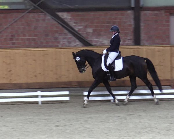 Reitturnier Hamburg-Friedrichshulde/Sylva Kuhrt 2023
