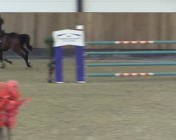 Reitturnier Zwickau 2023