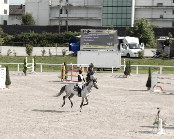 Pferdesporttage Bülach 2021