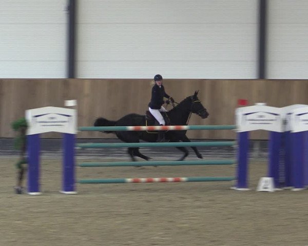 Reitturnier Zwickau 2023