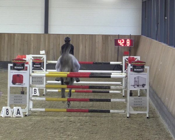 Reitturnier Zwickau 2023