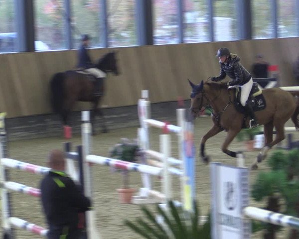 Reitturnier Zwickau 2023