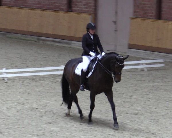 Reitturnier Hamburg-Friedrichshulde/Sylva Kuhrt 2023