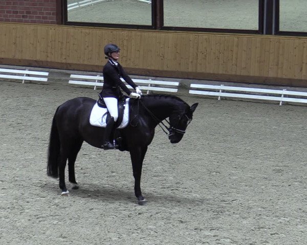 Reitturnier Hamburg-Friedrichshulde/Sylva Kuhrt 2023