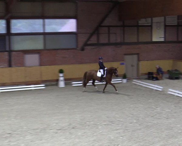 Reitturnier Hamburg-Friedrichshulde/Sylva Kuhrt 2023