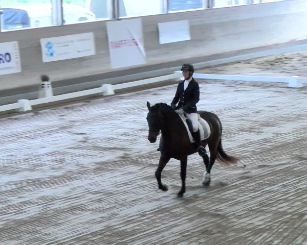 Reitturnier Urtenen-Schönbühl 2023