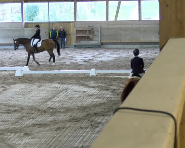 Reitturnier Urtenen-Schönbühl 2023