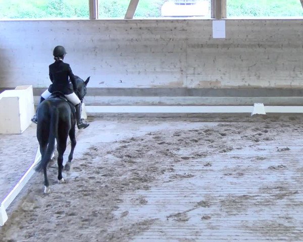 Reitturnier Urtenen-Schönbühl 2023