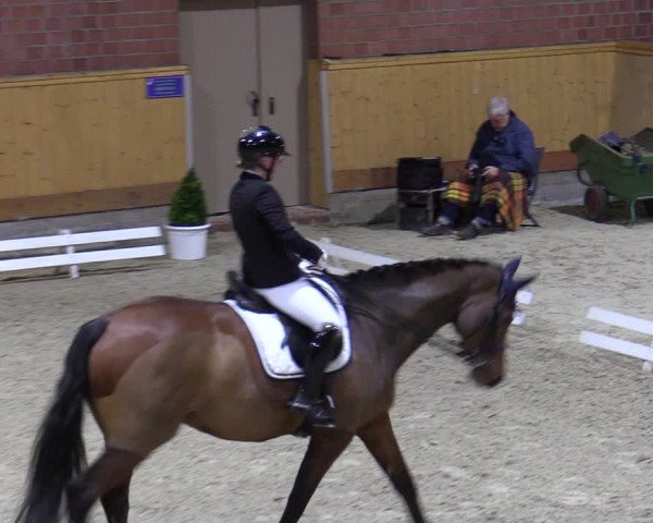 Reitturnier Hamburg-Friedrichshulde/Sylva Kuhrt 2023
