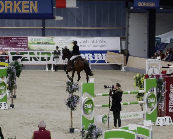 Reitturnier Borken 2023