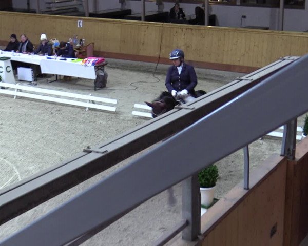 Reitturnier Hamburg-Friedrichshulde/Sylva Kuhrt 2023