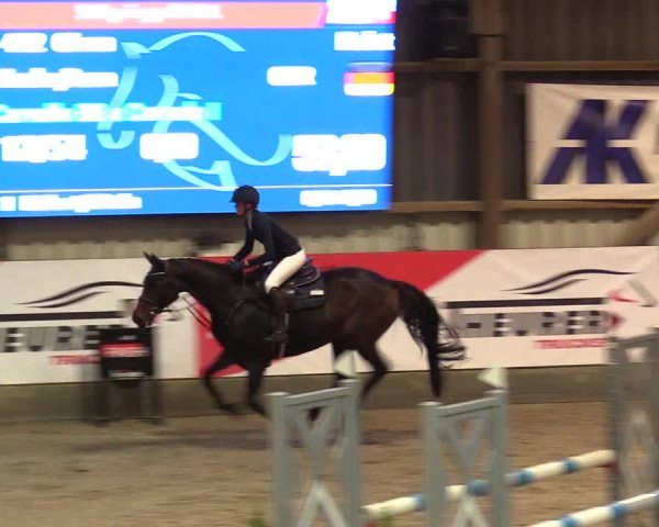 1. Nordic Jumping event Negernbötel 2023 - Season Opening