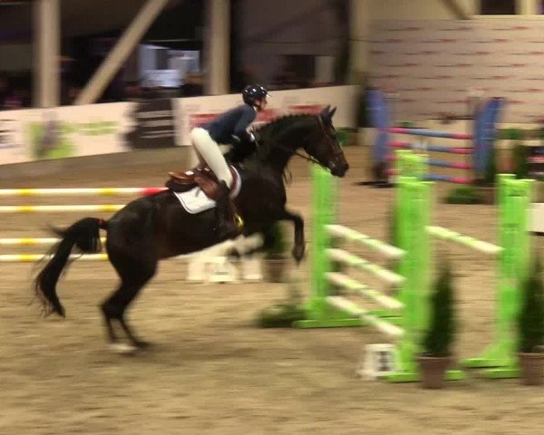 1. Nordic Jumping event Negernbötel 2023 - Season Opening