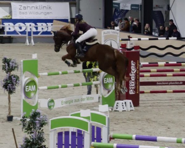 Reitturnier Borken 2023