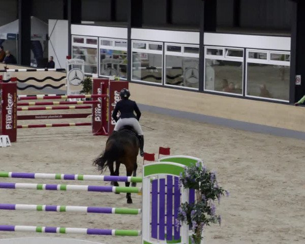 Reitturnier Borken 2023