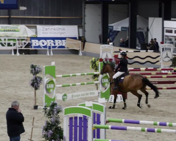 Reitturnier Borken 2023