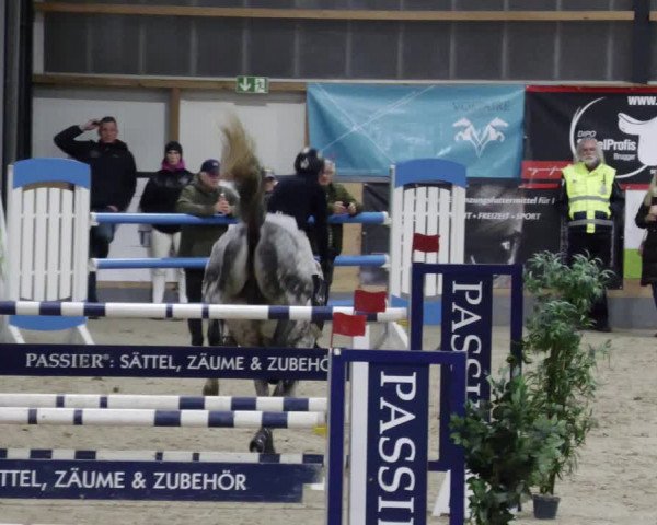 Reitturnier Borken 2023