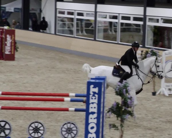 Reitturnier Borken 2023