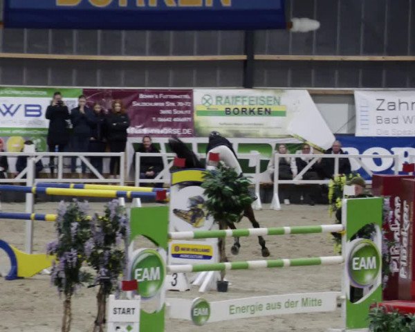 Reitturnier Borken 2023