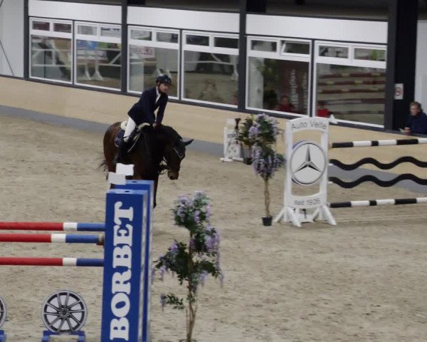 Reitturnier Borken 2023