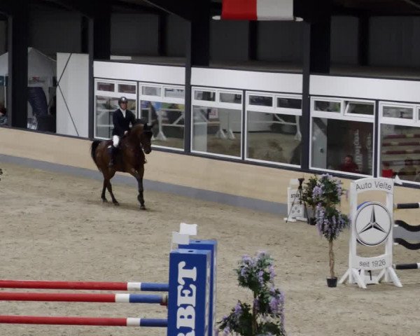 Reitturnier Borken 2023