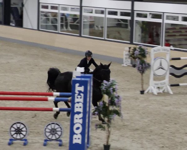 Reitturnier Borken 2023