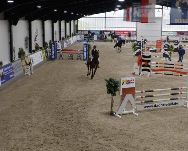 Reitturnier Borken 2023