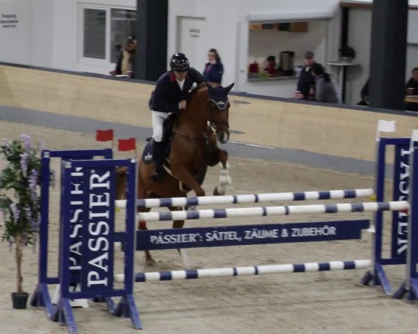 Reitturnier Borken 2023