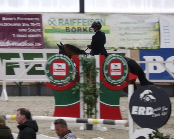 Reitturnier Borken 2023