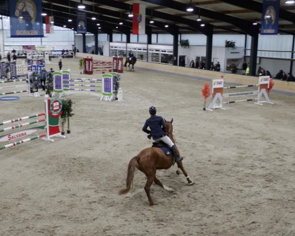 Reitturnier Borken 2023