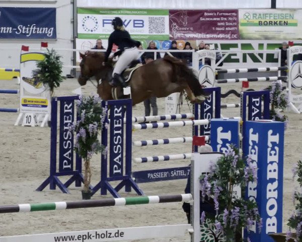 Reitturnier Borken 2023