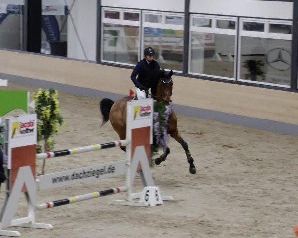 Reitturnier Borken 2023