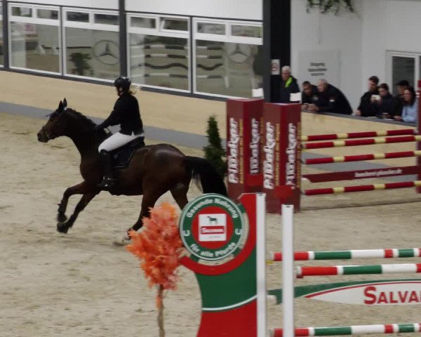 Reitturnier Borken 2023