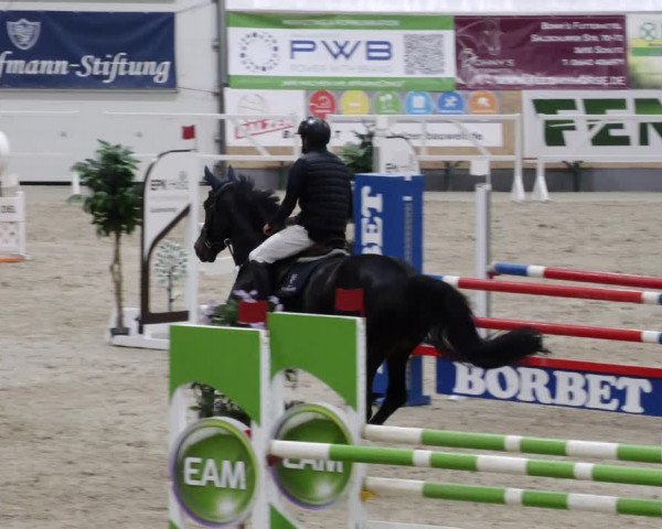 Reitturnier Borken 2023