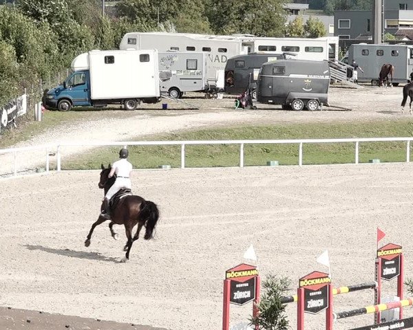 Pferdesporttage Bülach 2021