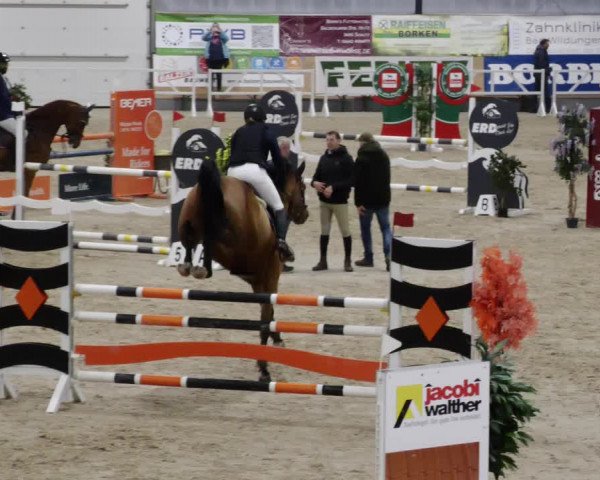 Reitturnier Borken 2023