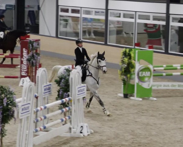 Reitturnier Borken 2023