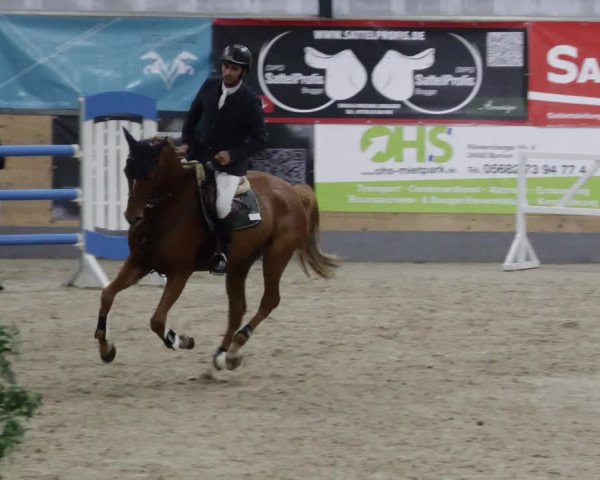 Reitturnier Borken 2023