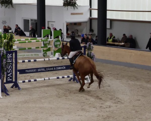 Reitturnier Borken 2023