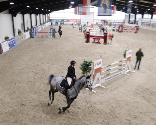 Reitturnier Borken 2023